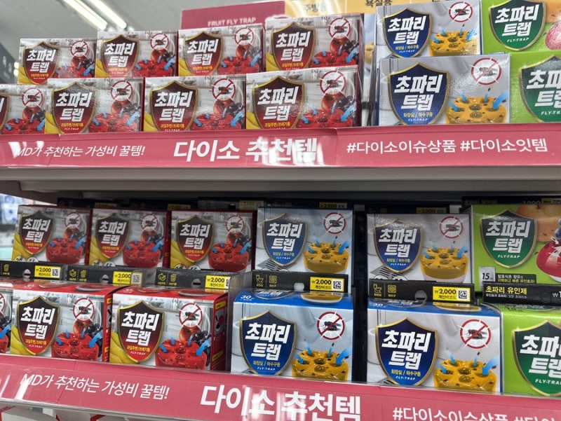 다이소 초파리트랩 종류와 가격, 매장에서 직접 비교해봤어요