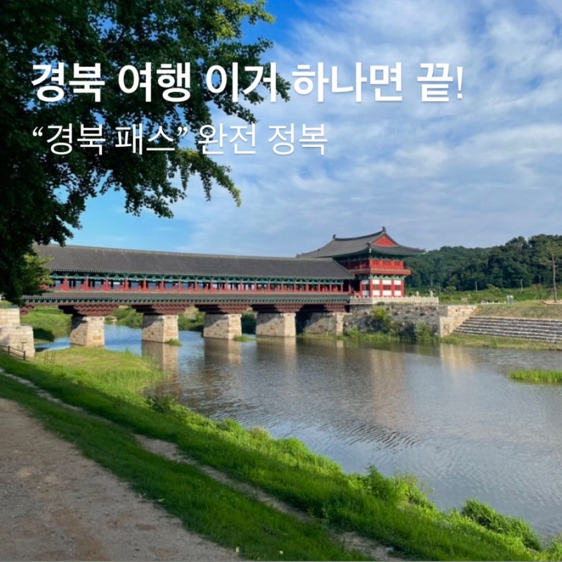 경북 투어패스 총정리｜경주·포항·영천 무료입장 및 할인 혜택