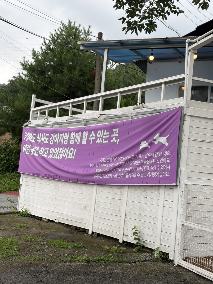 키키펫 사진 5