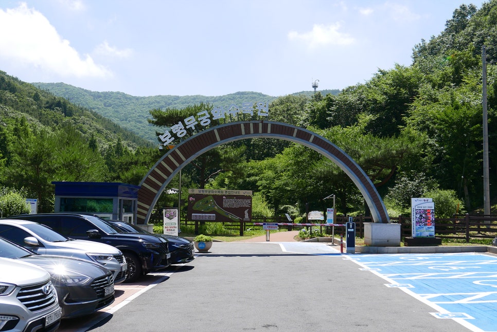 카페무궁화 사진 2