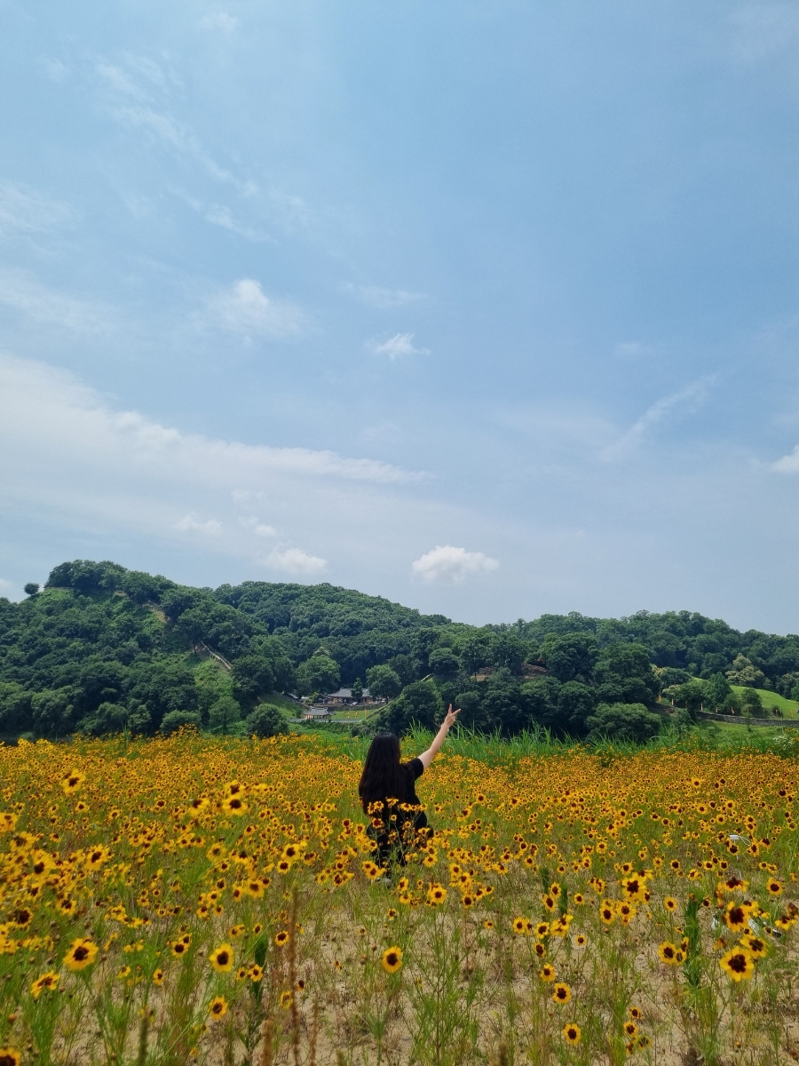 연미산자연미술공원 사진 4