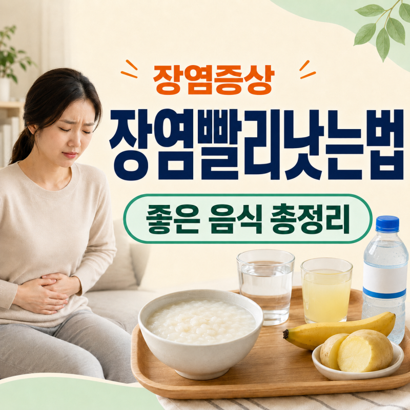 장염 증상 장염빨리낫는법 좋은 음식 총정리