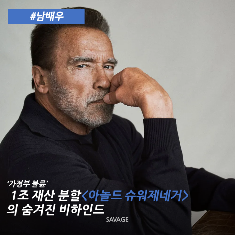 [남배우] '가정부 불륜' 1조 재산 분할 의 숨겨진 비하인드