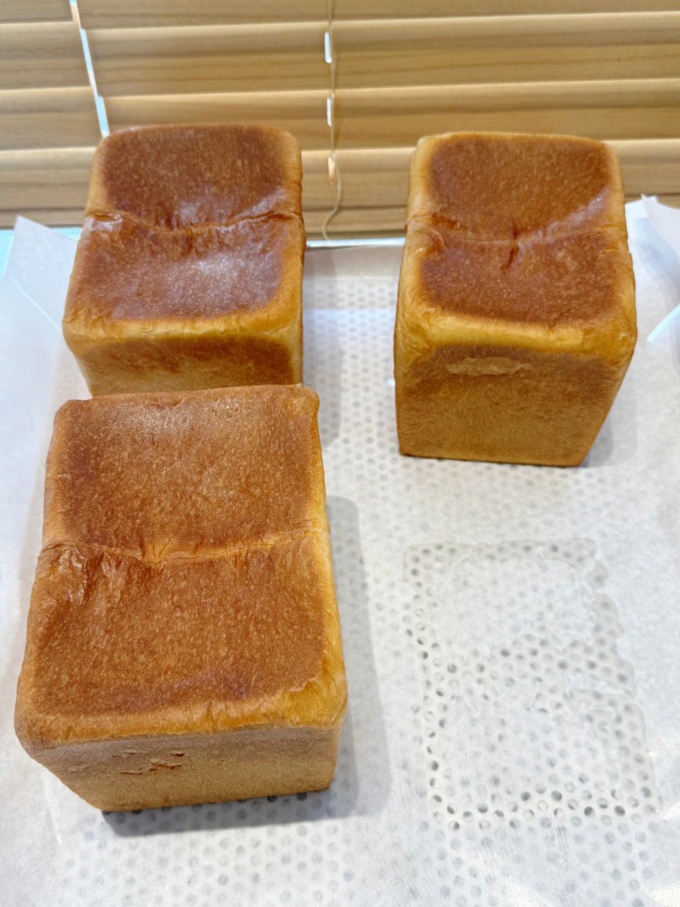 산들 사진 6