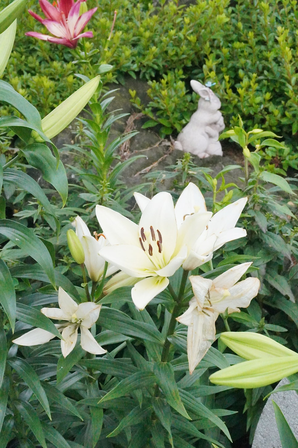 몽뜨레 사진 4