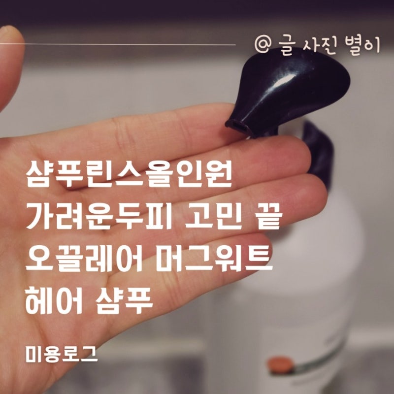 샴푸린스올인원 가려운두피 고민 끝 오끌레어 머그워트 헤어 샴푸