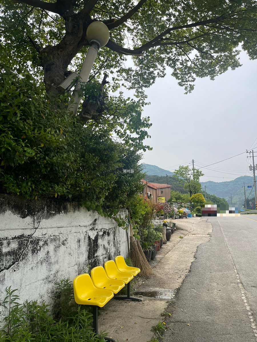 홍길동흑염소 사진 4