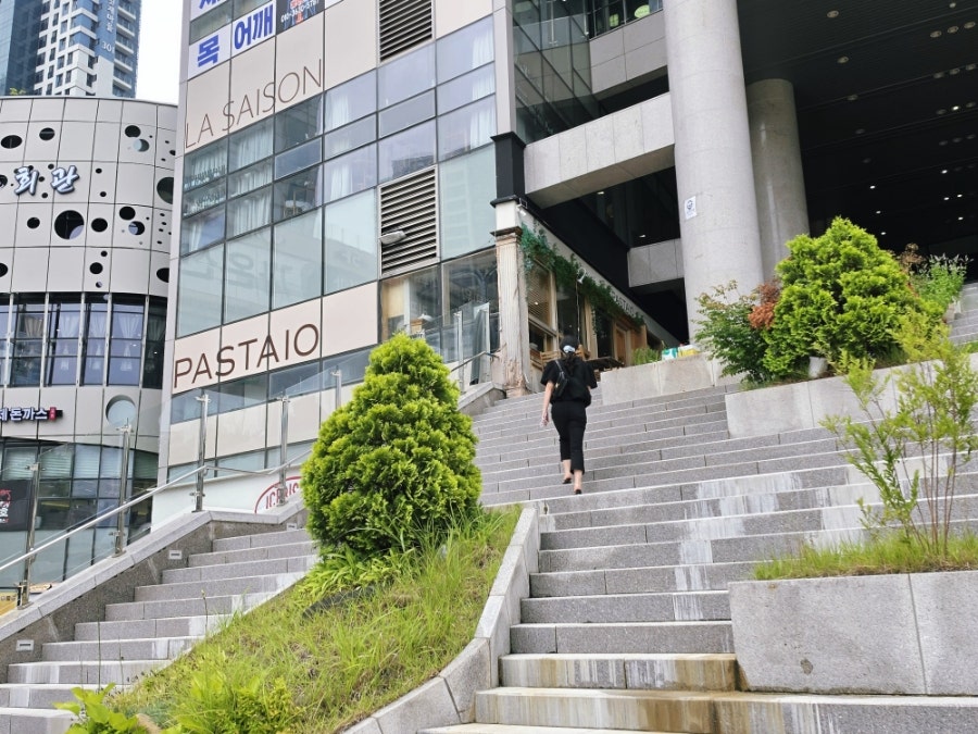 파스타이오 사진 6
