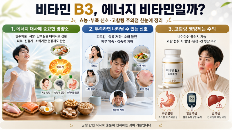 비타민 B3 효능과 부족 증상, 피로가 계속된다면 확인하세요