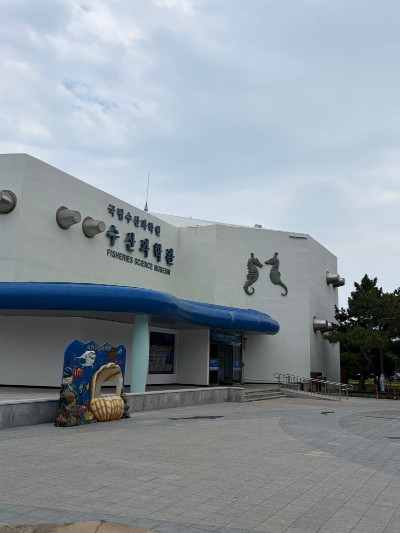 부산 아이랑 가볼만한곳ㅣ용궁사 근처 숨은 피서지 국립수산과학원 (예상치도 못한 더위탈....