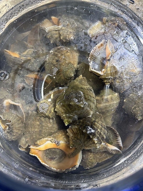 해변민박 사진 5