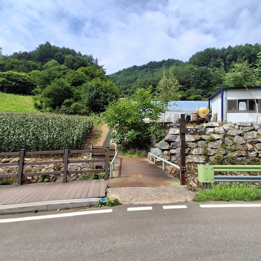 지억산 사진 6