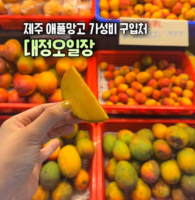 제주 서귀포 대정오일장 애플망고 가성비 구입처 feat. 자매식당