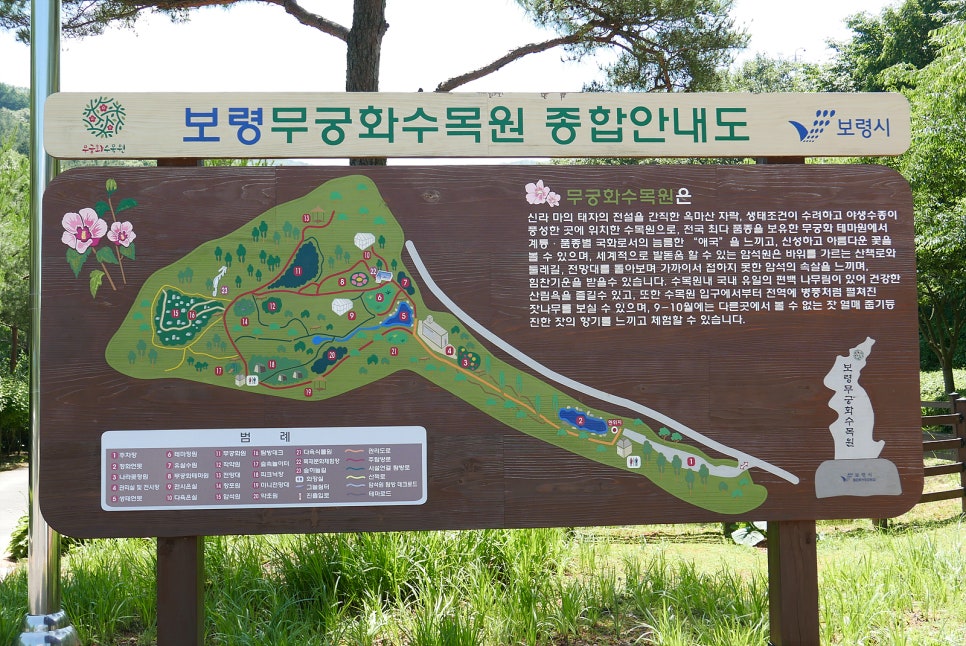 카페무궁화 사진 3