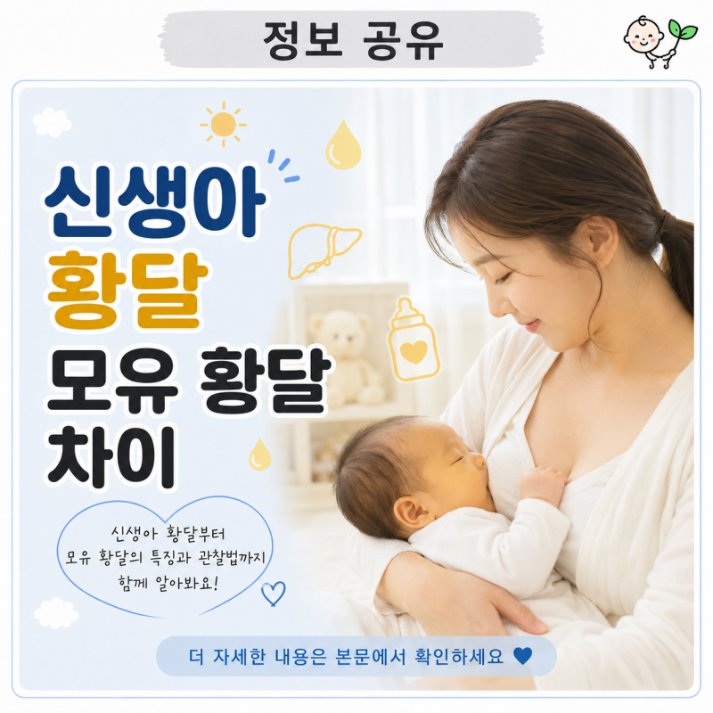 신생아 황달 및 모유 황달 | 차이점 | 생기는 시기와 수유·진료 기준