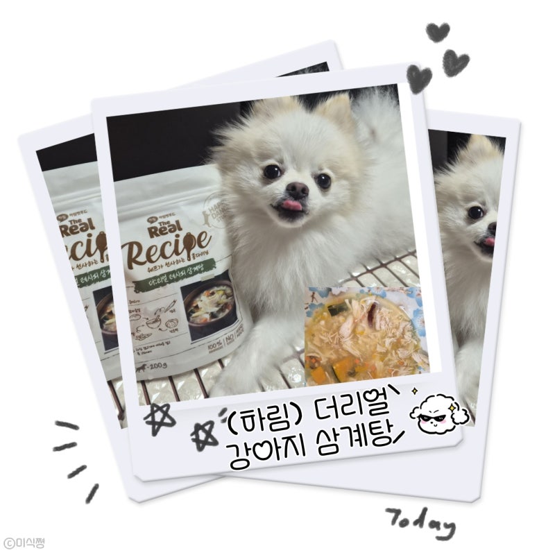 [ 강아지 여름 보양식 ] 강아지 삼계탕 펫 푸드 ｜더 리얼 레시피 삼계탕 (feat. 하림)