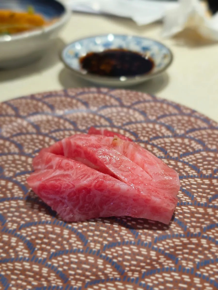 오스시 사진 4