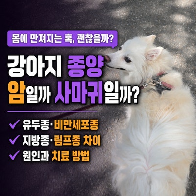 강아지 종양 암 사마귀 원인과 치료 방법, 유두종 비만세포종 지방종 림프종 차이와 구분