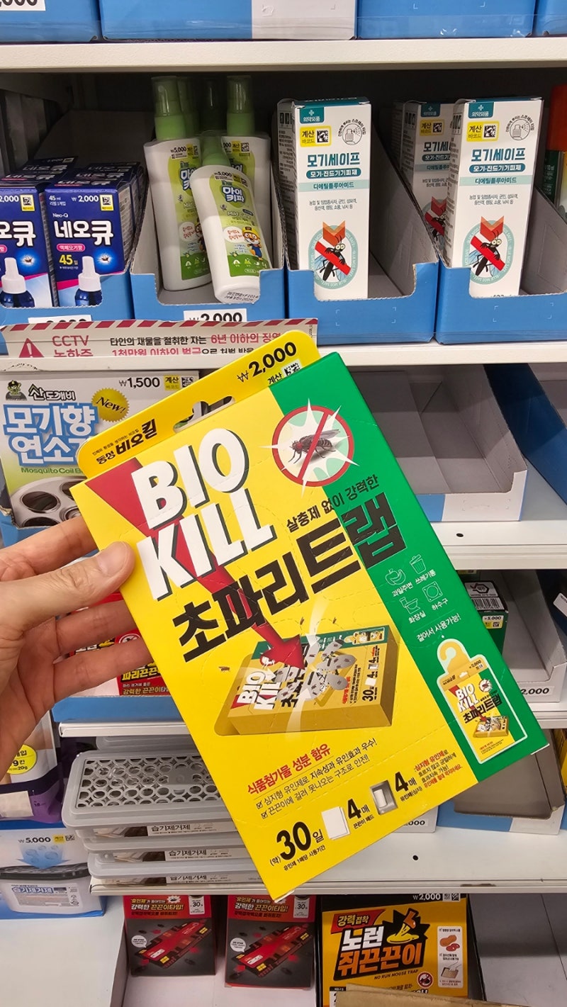 여름 벌레 퇴치 다이소 추천 5가지
