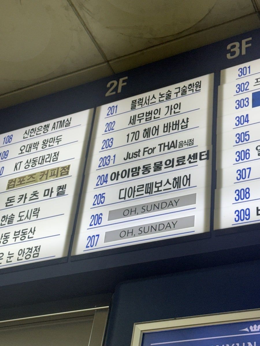 오선데이 사진 2