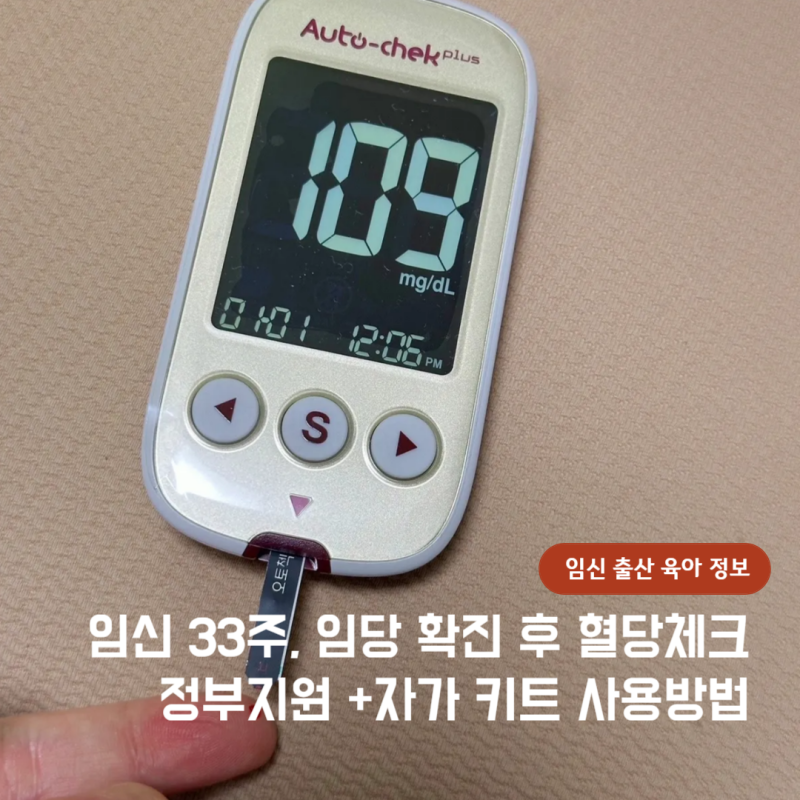 임신성 당뇨 임당관리 자가 혈당체크 혈당 측정기 임신 33주 정부지원 사용방법