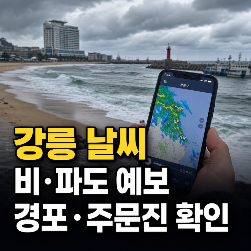 강릉 정확한 날씨 | 경포 주문진 비 파도 예보