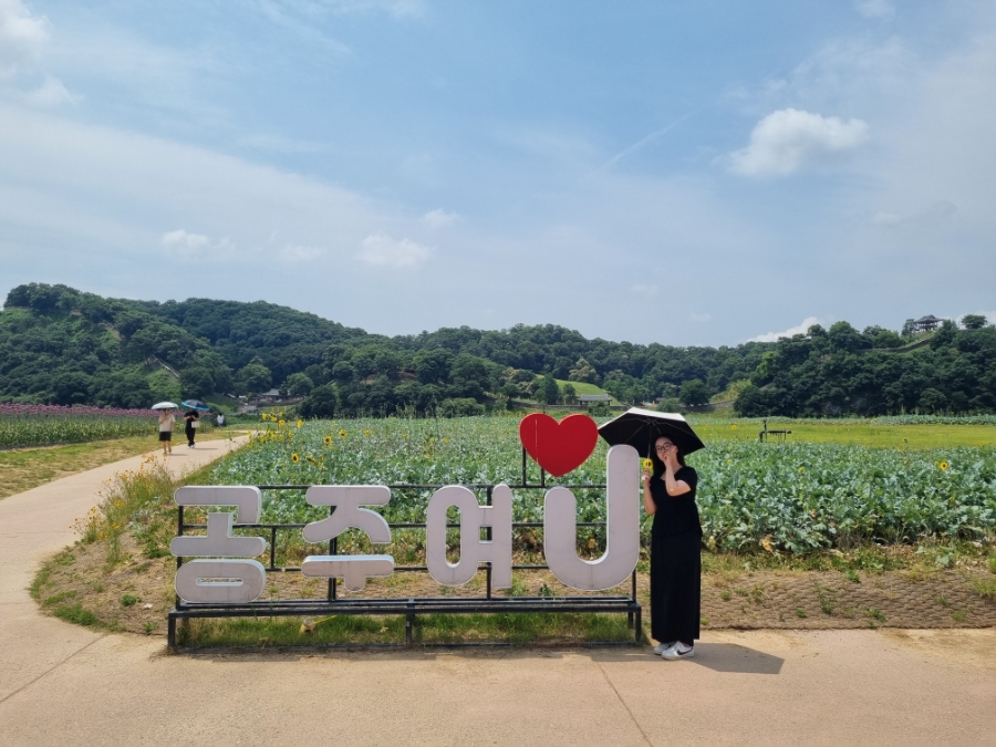 연미산 사진