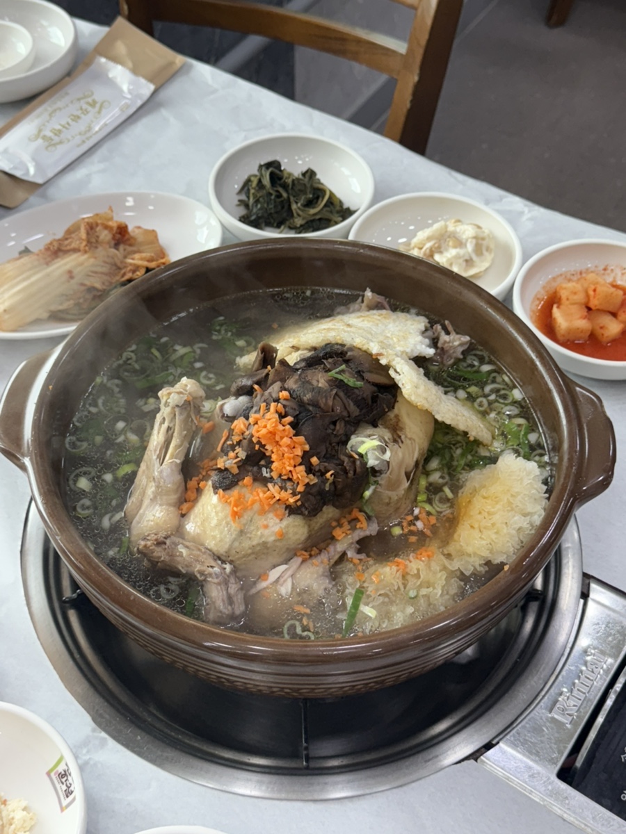 산들애 사진 5