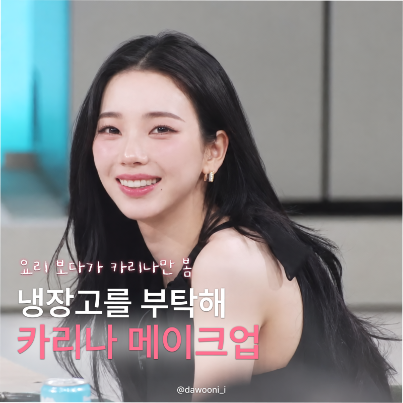 냉장고를 부탁해 카리나 메이크업 정보｜샤넬 블러셔·립 제품