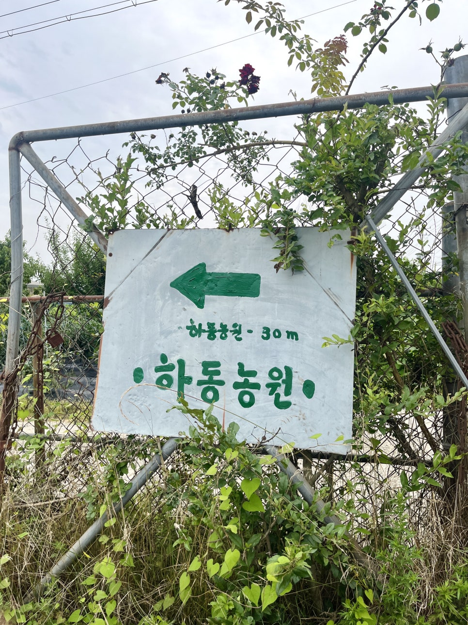 하동농원 사진 1