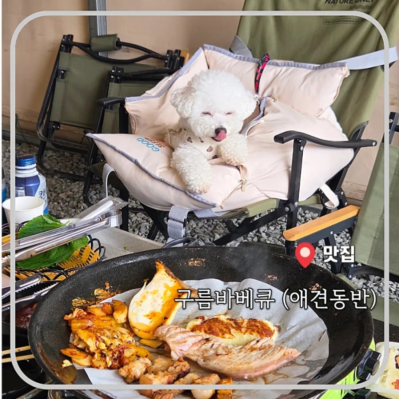 기장 애견동반식당 추천! 구름바베큐에서 시원하게 글램핑 감성까지 여름휴가 제대로~