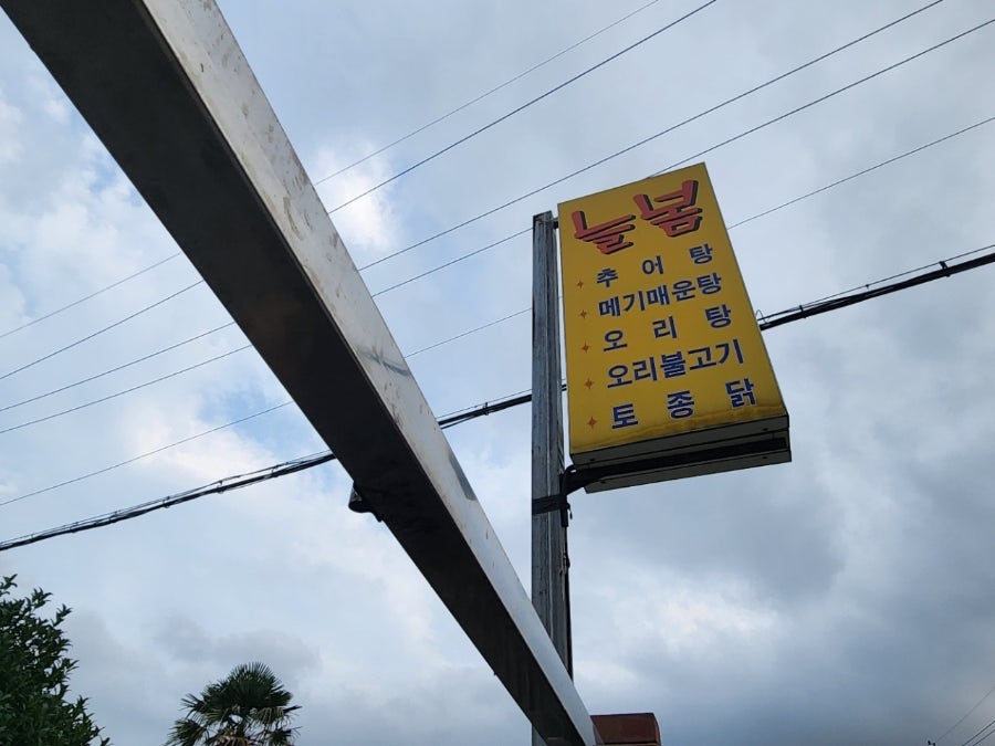 늘봄 사진 1