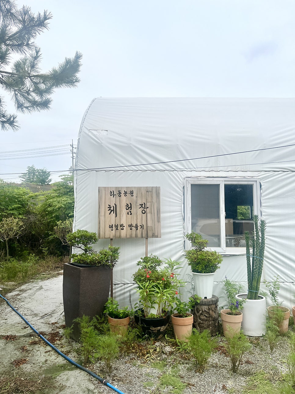 하동농원 사진 6