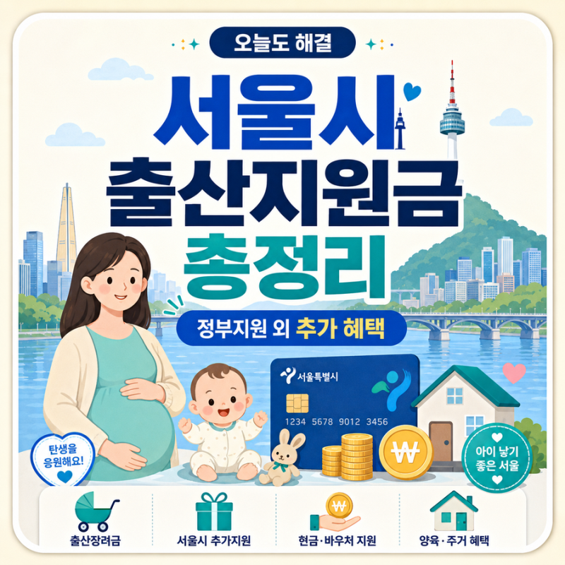 서울시 출산지원금 총정리｜정부지원 외에 추가로 받는 혜택