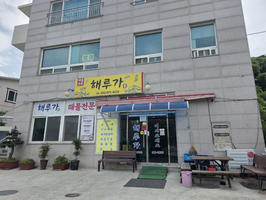 해루가 사진 1