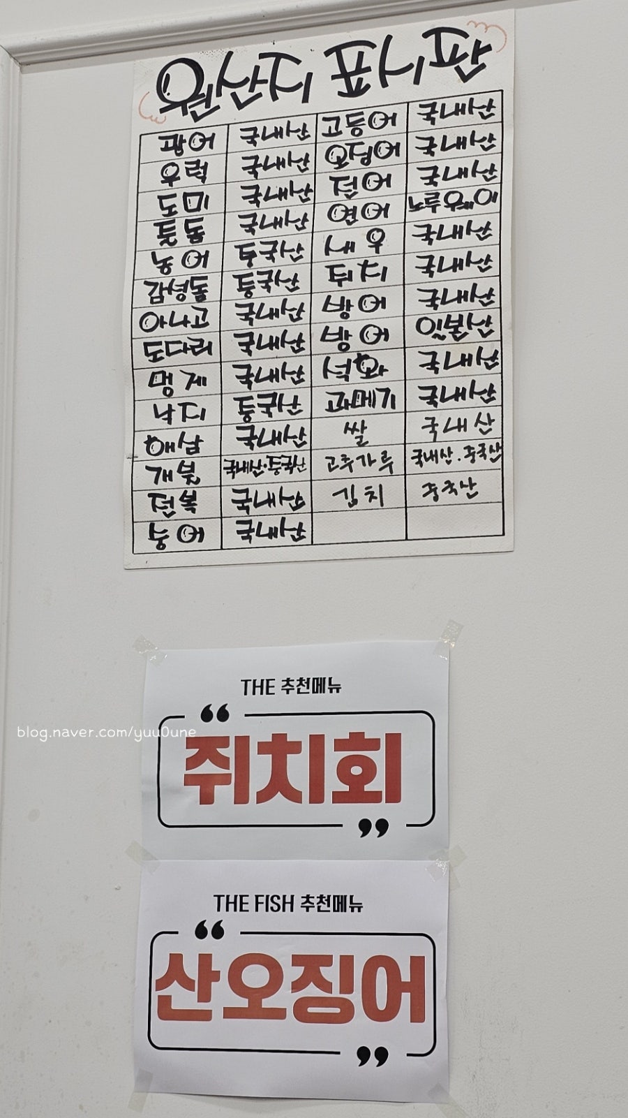 더피쉬 사진 5