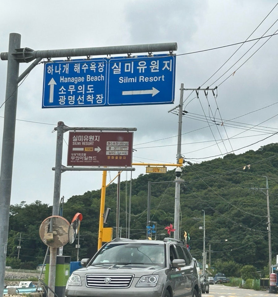 황금손해물칼국수 무의점 사진 1