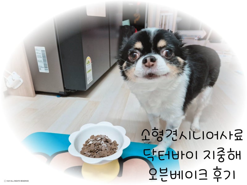 소형견 시니어사료 닥터바이 지중해 오븐베이크사료 추천:)