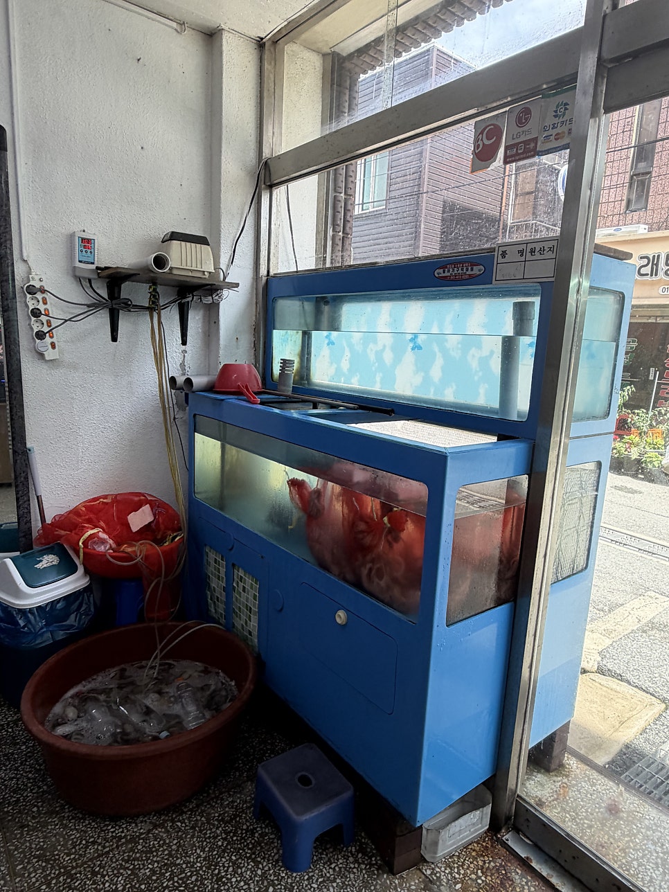 원풍식당 사진 6