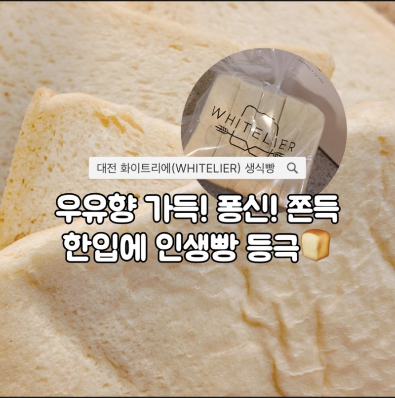 대전 식빵 맛집 어디가 맛있을까? 선물로도 좋은 도안동 화이트리에 생식빵 후기