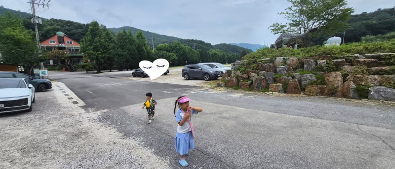 [포천] 포천 가볼만한곳 / 아이와 함께 마이애니멀스토리 in 평강랜드