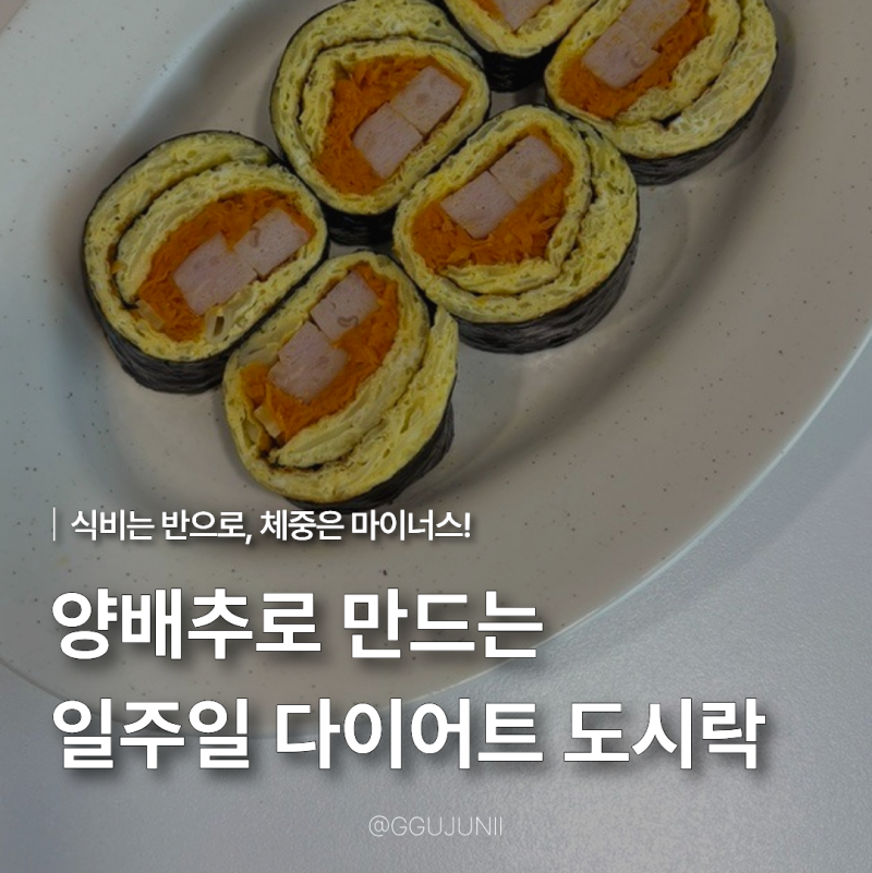 양배추 다이어트 직장인 식단 도시락 레시피 TOP 4