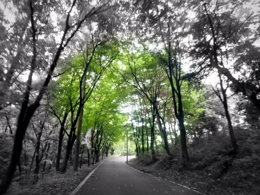 철마산 사진 4