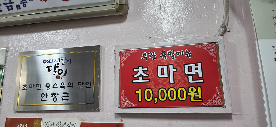 부광반점 사진 6
