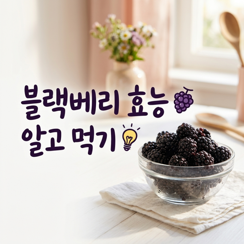 블랙베리 효능, 알고 먹으면 더 좋은 풍부한 영양 성분 가이드