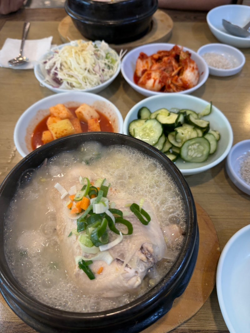 대전 용전동 삼계탕맛집<풍년삼계탕> 후기