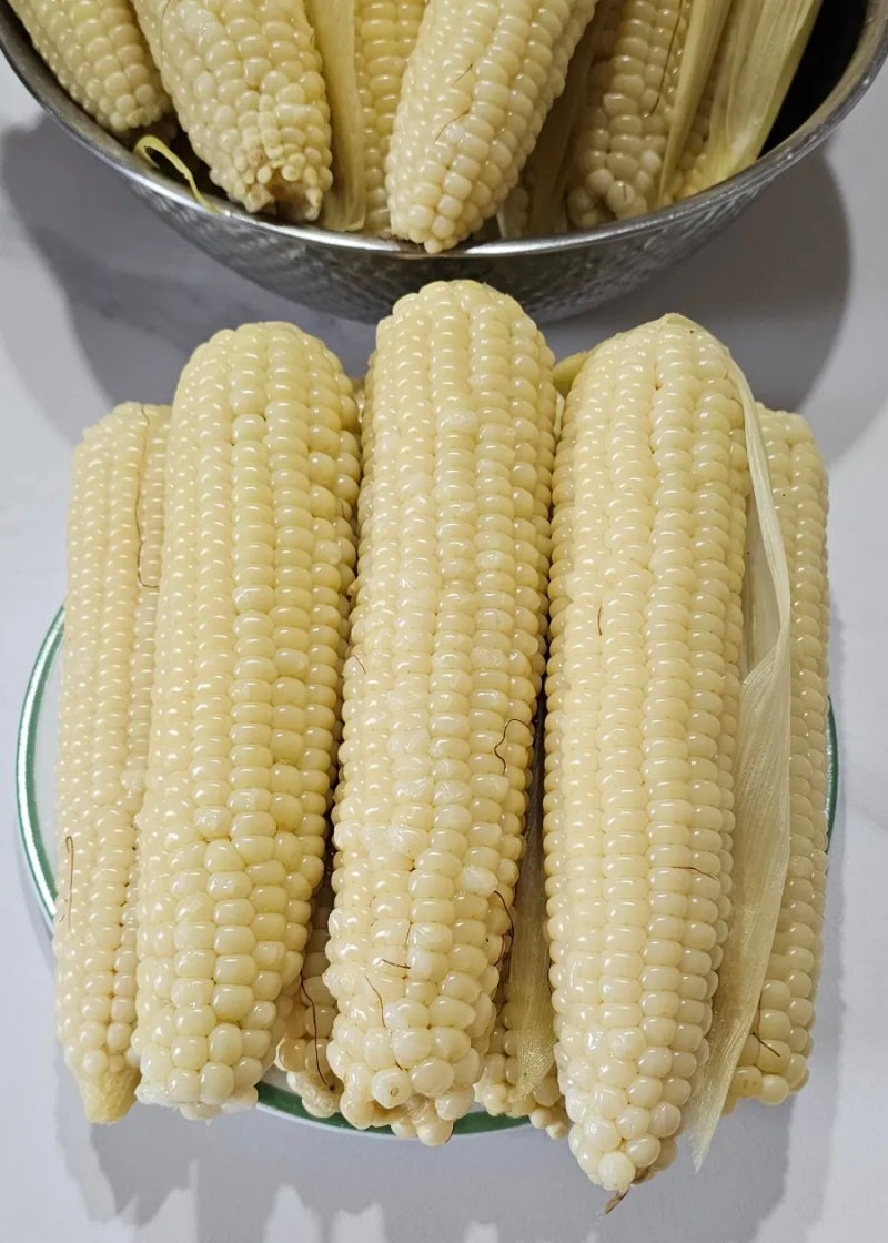압력솥 옥수수 삶는법 찰옥수수 삶는 시간