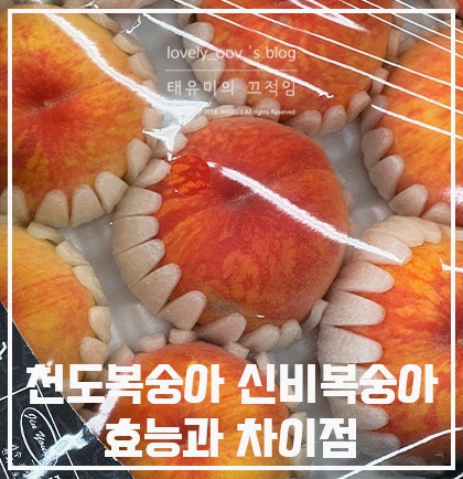 여름 불청객 피로 잡는 천도복숭아 신비복숭아 효능과 차이점