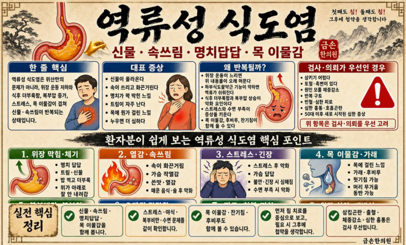 역류성 식도염(신물·속쓰림·명치답답·목 이물감이 반복된다면?)