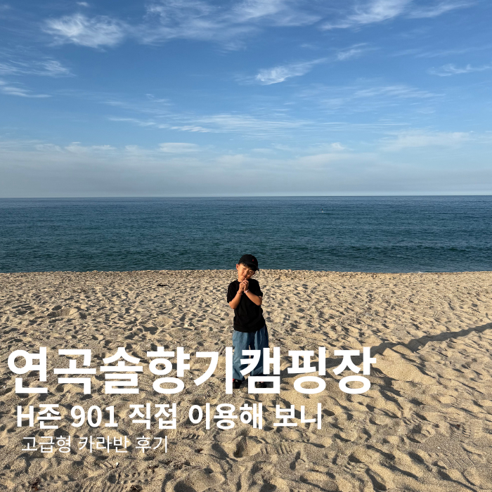 연곡솔향기캠핑장 고급형 카라반 H존 후기｜명당 위치·시설 장단점 총정리